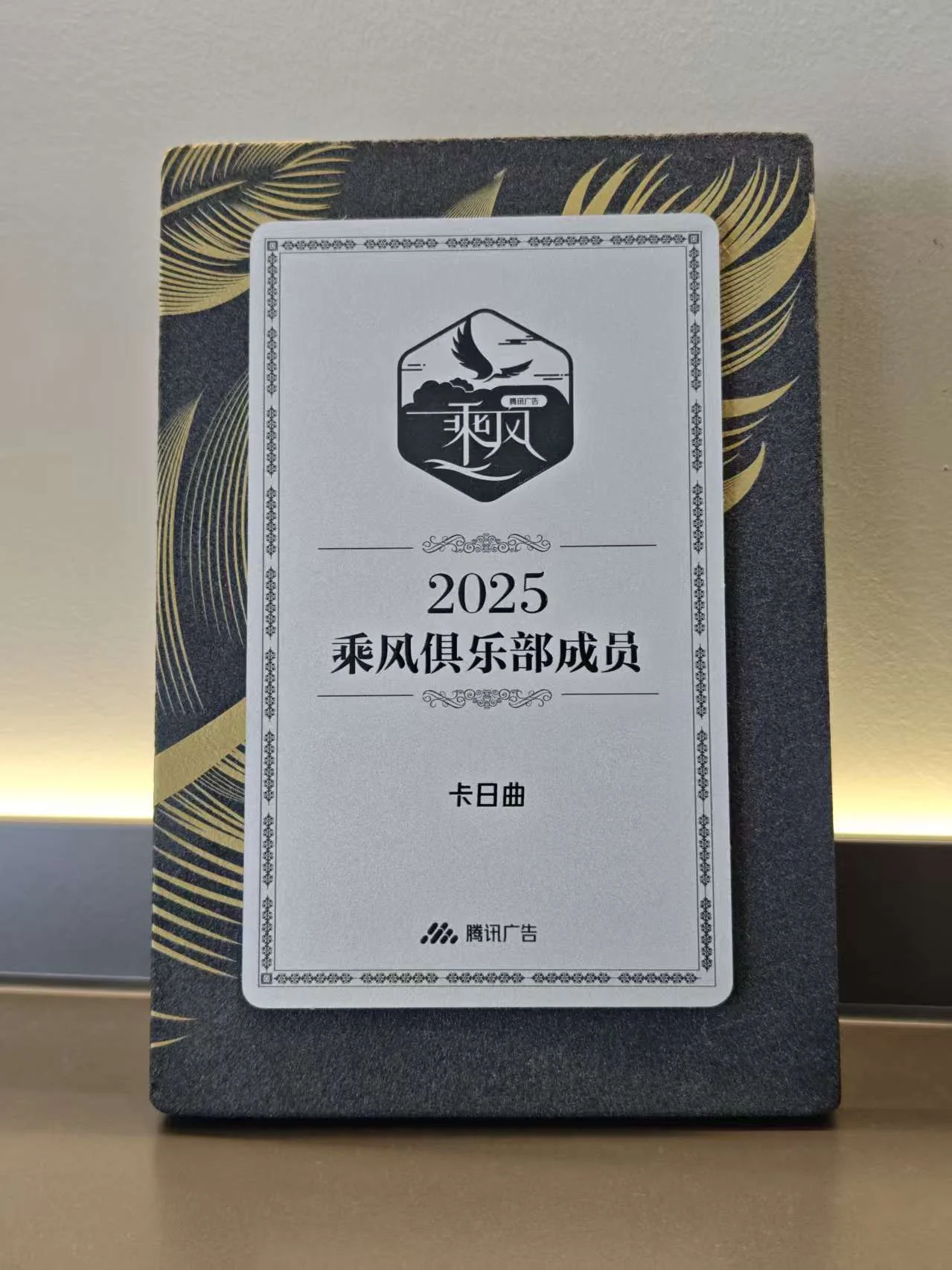 企业荣誉照片 3