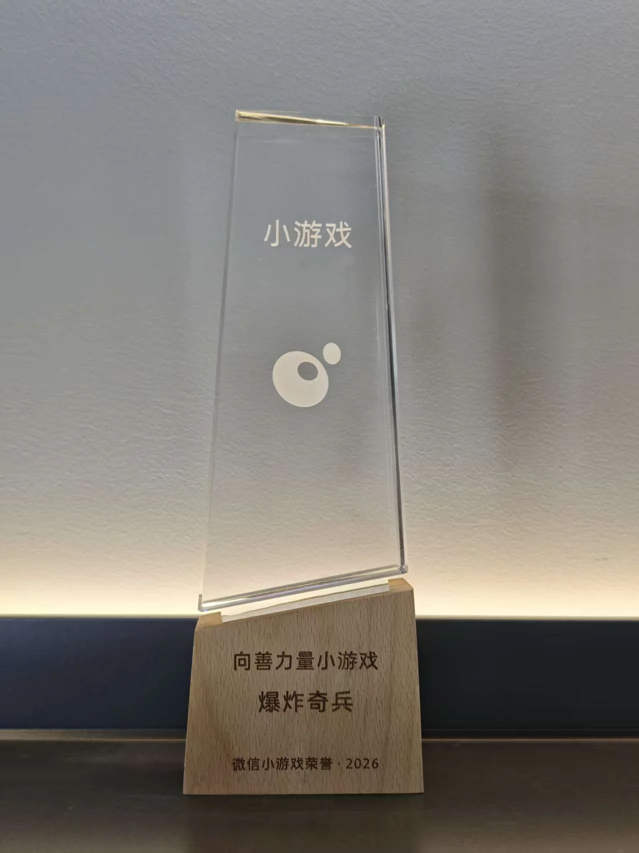 企业荣誉照片 11