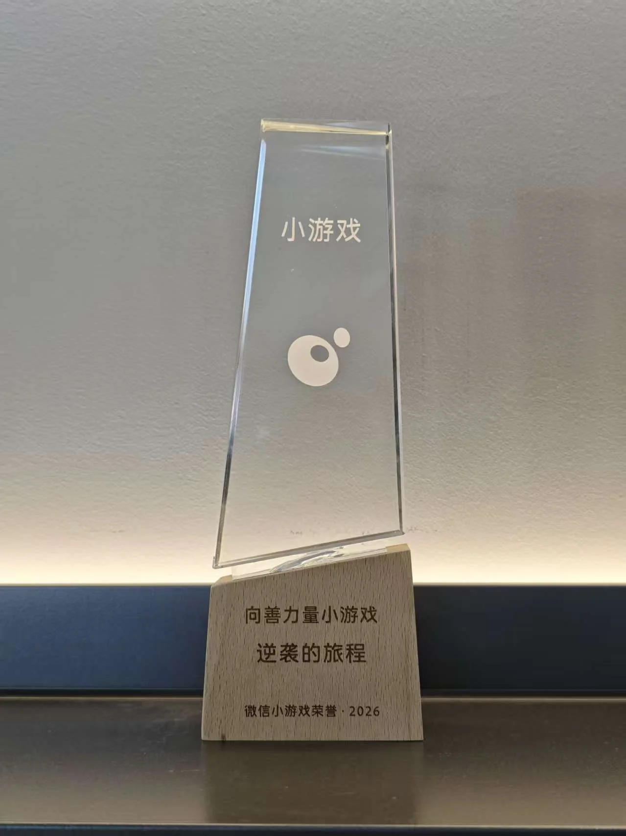 企业荣誉照片 13