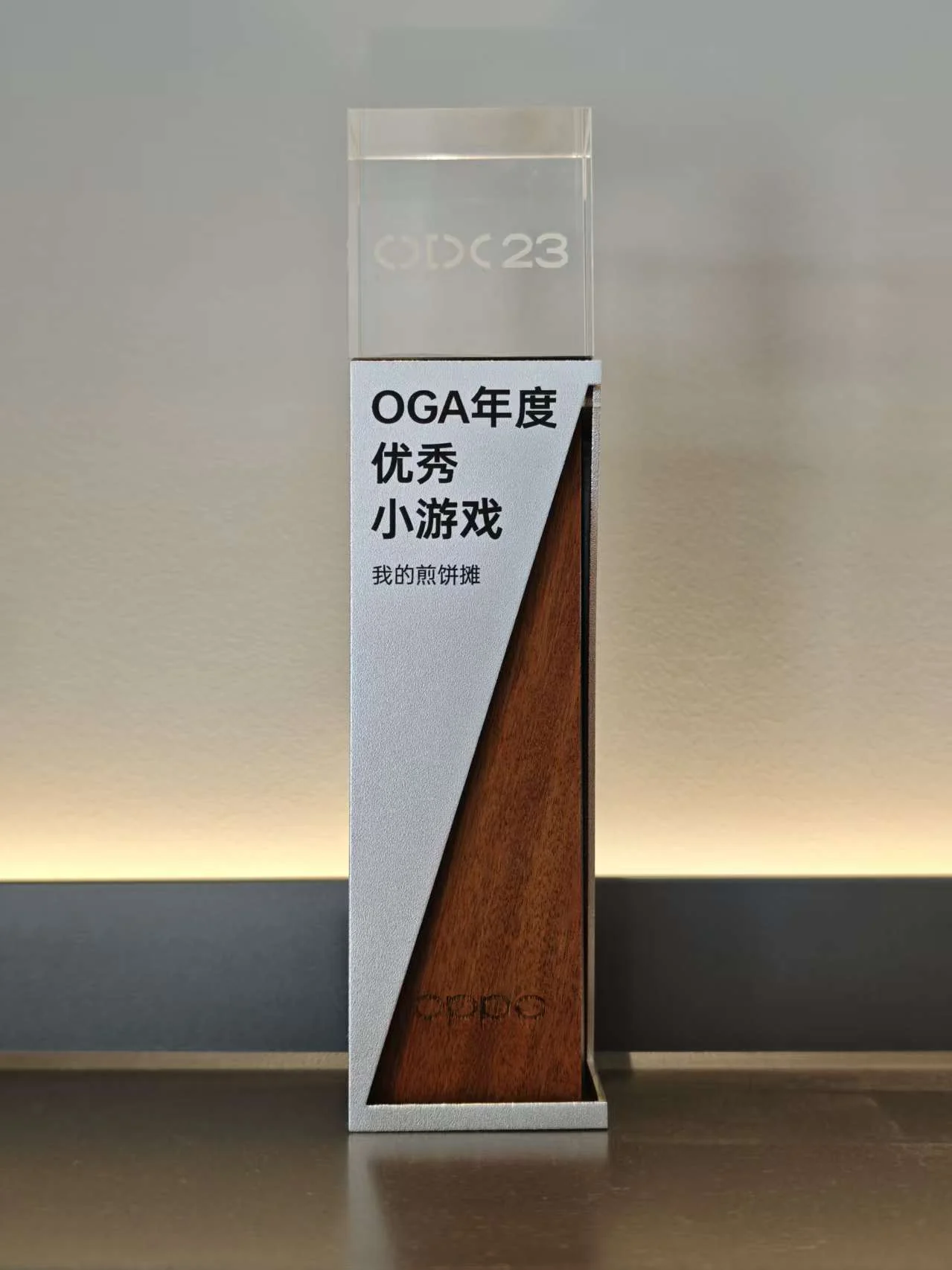 企业荣誉照片 14